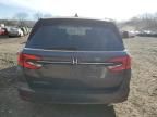 2023 Honda Odyssey EXL