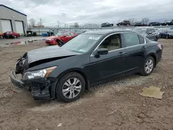 Honda salvage cars for sale: 2010 Honda Accord LXP