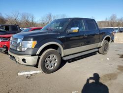 Ford salvage cars for sale: 2010 Ford F150 Supercrew