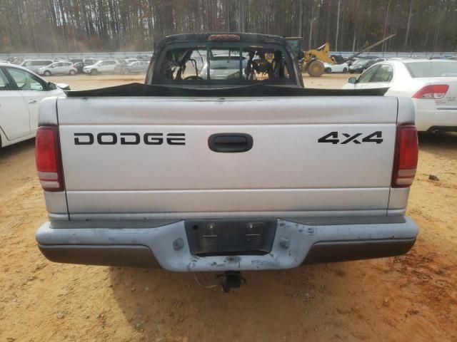 2002 Dodge Dakota Base