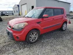 Salvage cars for sale at Tifton, GA auction: 2012 KIA Soul +