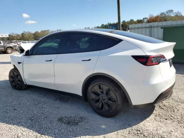 2025 Tesla Model Y