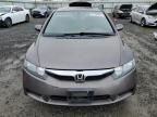 2009 Honda Civic EXL