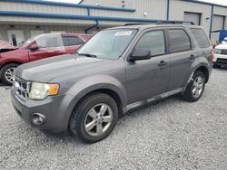 Ford salvage cars for sale: 2010 Ford Escape XLT