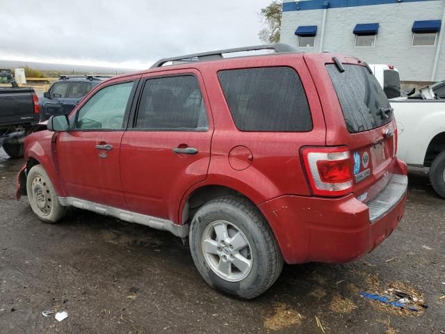 2009 Ford Escape XLT