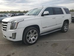 Salvage cars for sale from Copart Fresno, CA: 2019 Cadillac Escalade Luxury