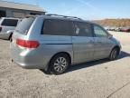 2008 Honda Odyssey EXL