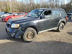 Mazda salvage cars for sale: 2010 Mazda Tribute S