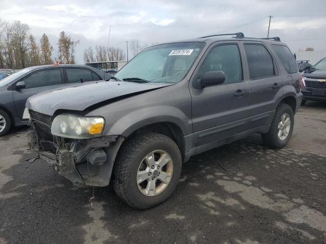 2005 Ford Escape XLT