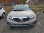 2011 KIA Sorento Base