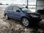 2010 Honda CR-V EXL