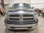 2009 Dodge RAM 1500