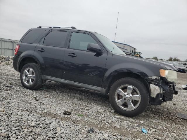 2010 Ford Escape Limited