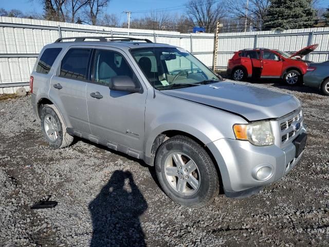 2009 Ford Escape Hybrid