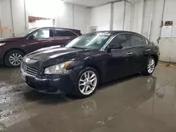 2009 Nissan Maxima S en venta en Madisonville, TN