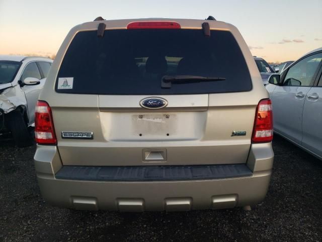 2010 Ford Escape XLT