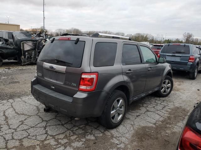 2010 Ford Escape Limited