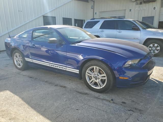 2013 Ford Mustang