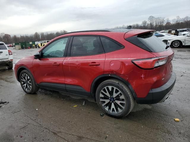 2020 Ford Escape SE Sport