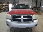 2005 Dodge Dakota SLT