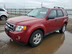 Salvage cars for sale at Elgin, IL auction: 2011 Ford Escape XLT