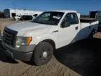 2009 Ford F150