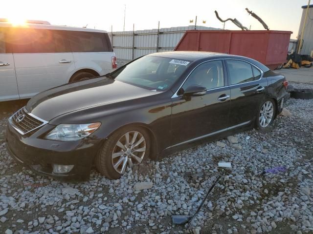 2010 Lexus LS 460