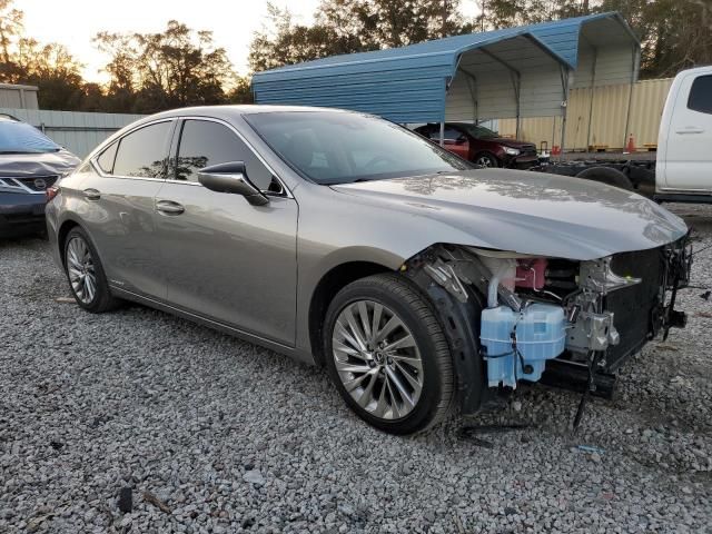 2021 Lexus ES 300H Luxury