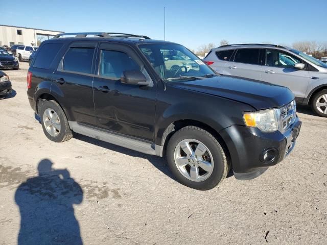 2011 Ford Escape Limited