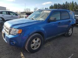 Salvage cars for sale at Leroy, NY auction: 2012 Ford Escape XLT