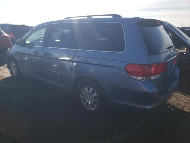 2008 Honda Odyssey EXL