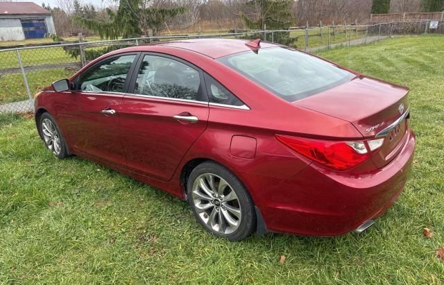 2011 Hyundai Sonata SE