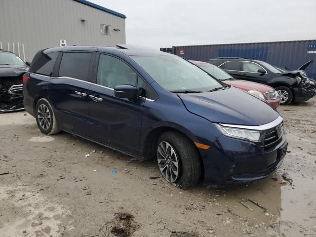 2024 Honda Odyssey EXL