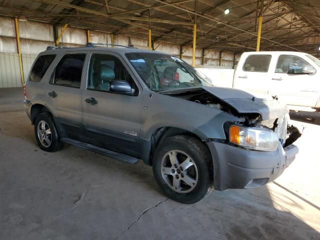 2002 Ford Escape XLS