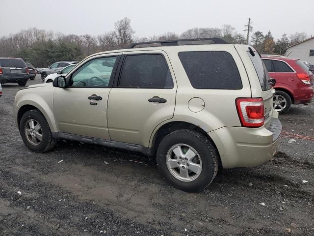 2011 Ford Escape XLT