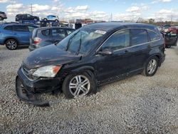 Salvage cars for sale at Columbus, OH auction: 2010 Honda CR-V EXL