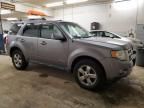 2008 Ford Escape Limited