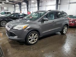 Salvage cars for sale at Ham Lake, MN auction: 2014 Ford Escape Titanium