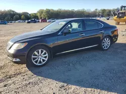 Lexus Vehiculos salvage en venta: 2008 Lexus LS 460