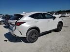 2024 Lexus NX 250 Premium