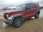 2011 Jeep Liberty Renegade