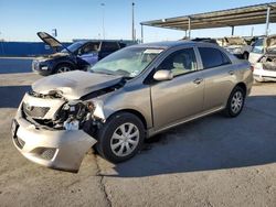 Salvage cars for sale at auction: 2010 Toyota Corolla Base