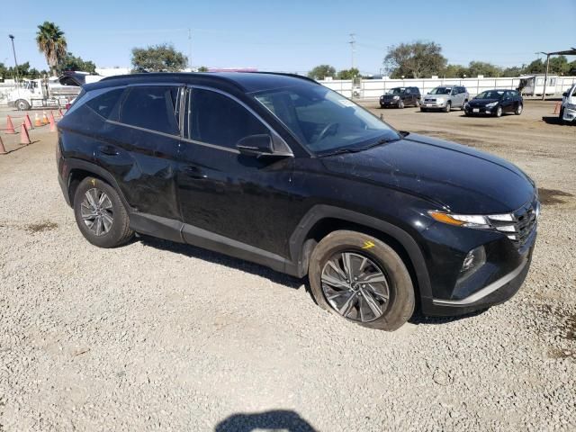 2022 Hyundai Tucson Blue