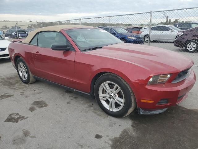 2011 Ford Mustang