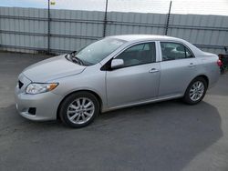 Salvage cars for sale from Copart Antelope, CA: 2009 Toyota Corolla Base