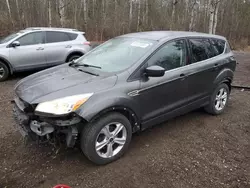 2015 Ford Escape SE en venta en Cookstown, ON