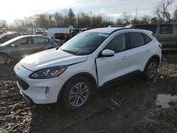 Salvage cars for sale from Copart Chalfont, PA: 2022 Ford Escape SEL