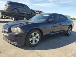 Dodge Vehiculos salvage en venta: 2014 Dodge Charger SXT