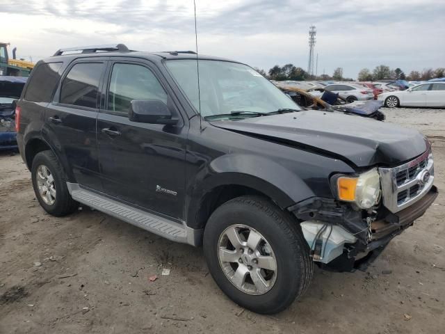 2010 Ford Escape Hybrid