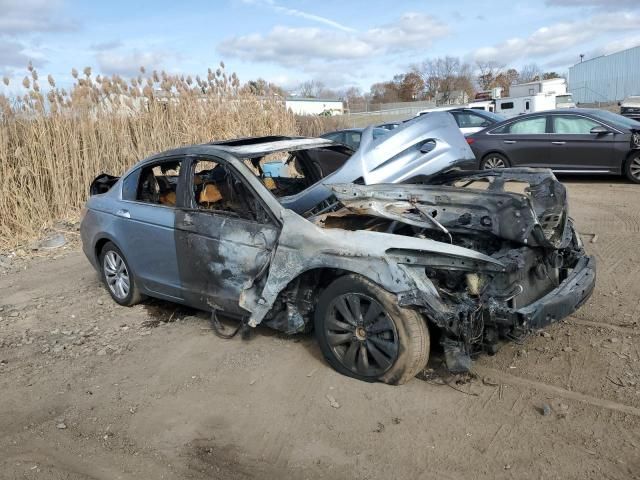 2011 Honda Accord EXL